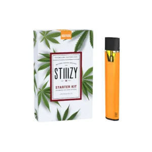 STIIIZY Starter Kit – Neon Orange