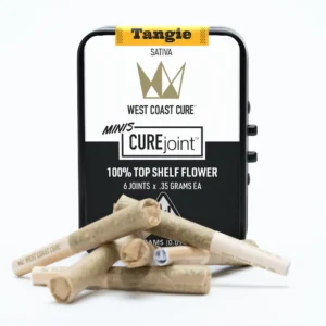 Tangie – WCC™ Top Shelf CUREjoint Minis – 6 Joints