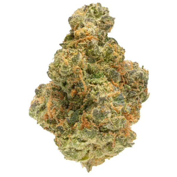 Florida Oranges - 3.5G Top Shelf Indoor Flower - Image 3