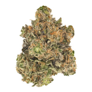 Gelato aka Gelato 42, Larry Bird, Zelato