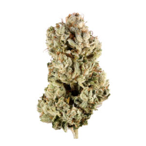 GG4 aka Glue, Original Glue