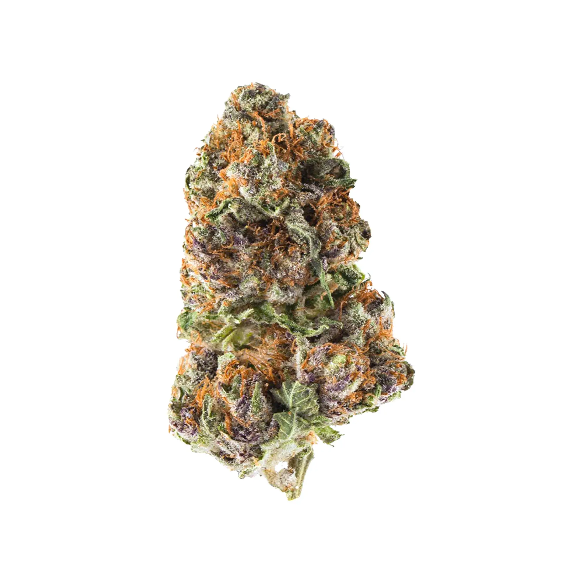 Purple Cake Batter aka Purple Cake Hybrid THC 34% CBG 1%